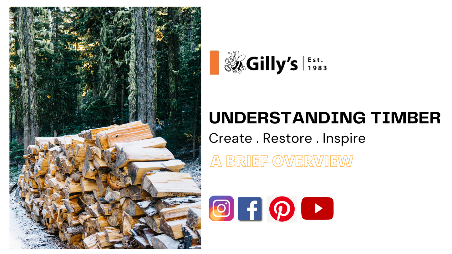 Understanding Timber - A Brief Overview