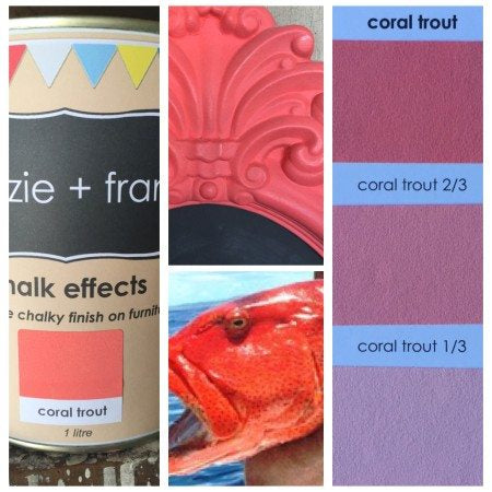 Chalk Effects Coral Trout - Mezzie + Frank